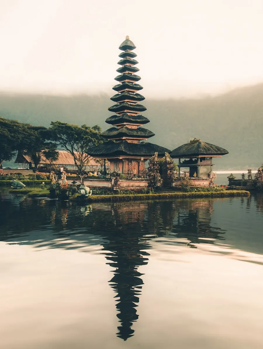Tegallalang rice terraces with palm trees in Ubud — Bali honeymoon package